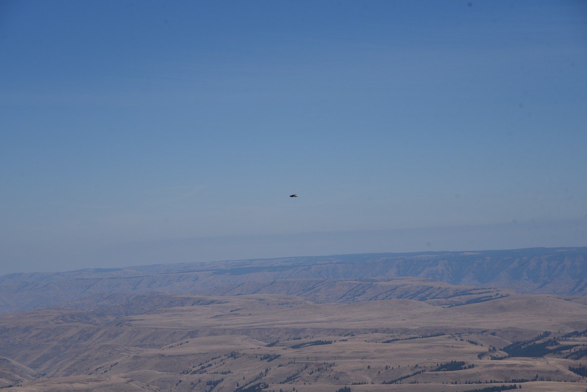 dsc_4117_fs.jpg
