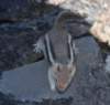 dsc_4123_fs_small.jpg