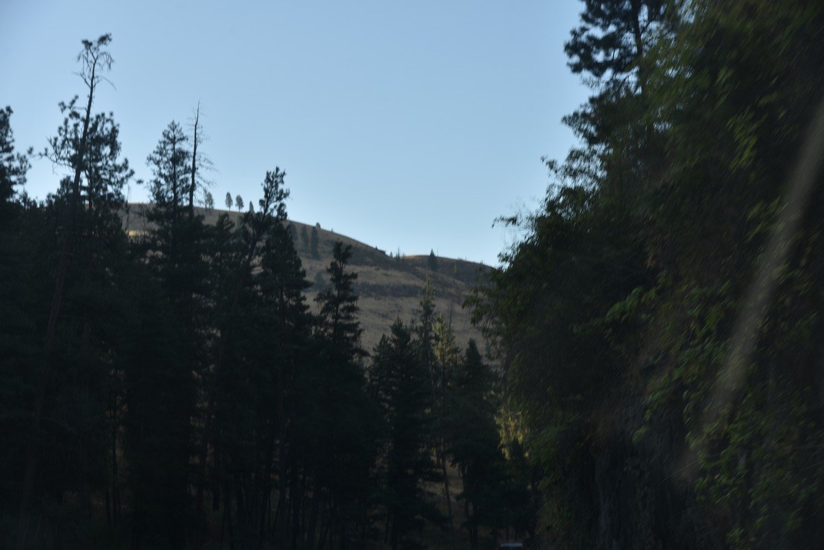 dsc_4232_fs.jpg