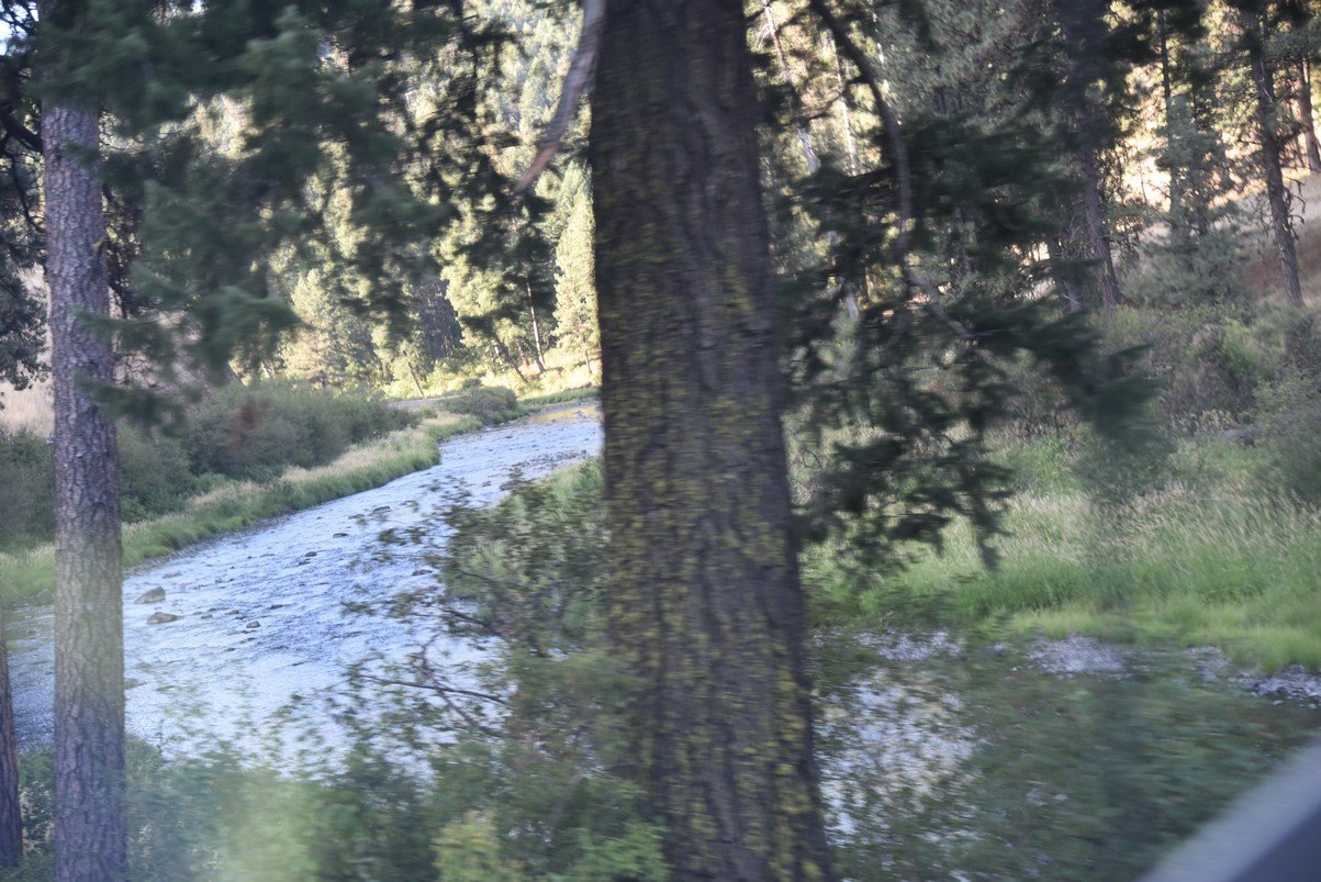 dsc_4235_fs.jpg