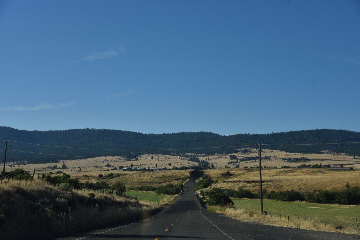 dsc_4248_fs.jpg