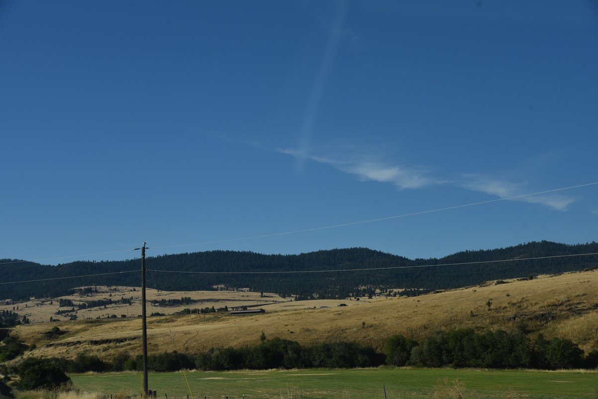 dsc_4249_fs.jpg