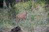 dsc_4293_fs_small.jpg