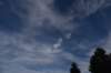 dsc_4298_fs_small.jpg