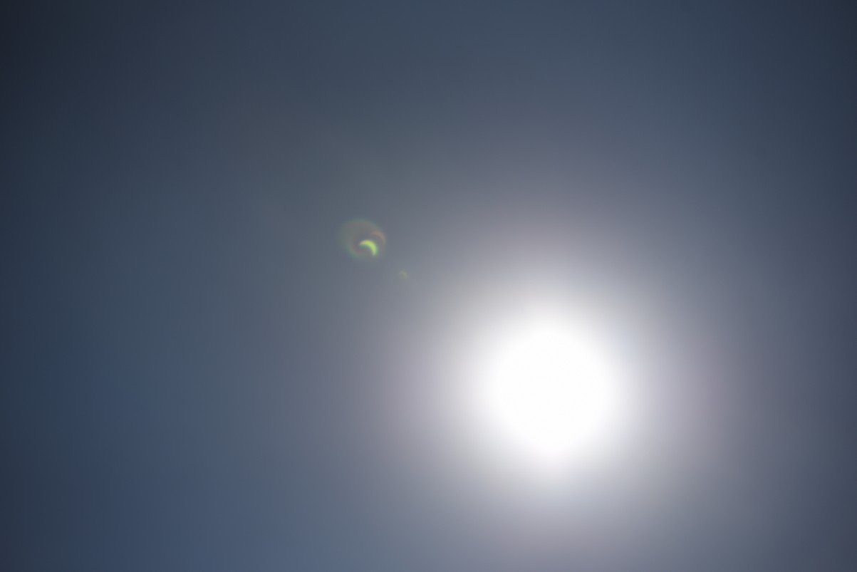 dsc_4334_fs.jpg