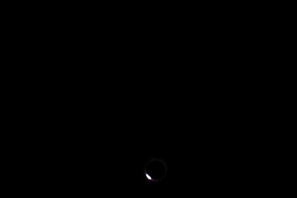 dsc_4337_fs.jpg