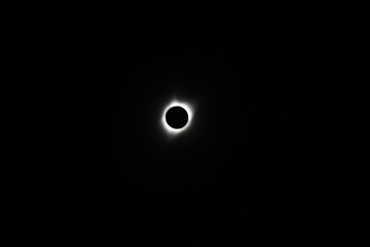 dsc_4359_fs.jpg