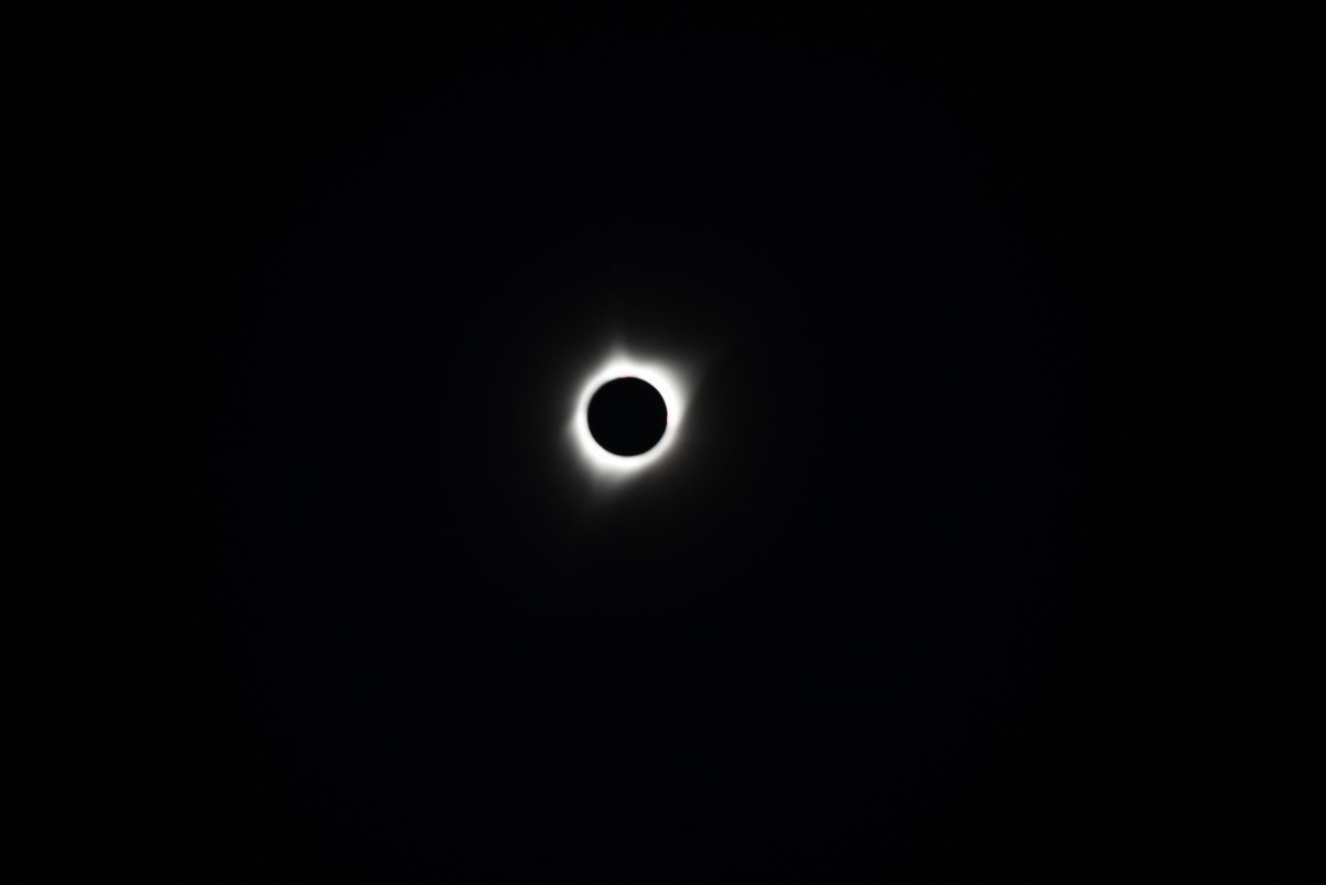 dsc_4360_fs.jpg