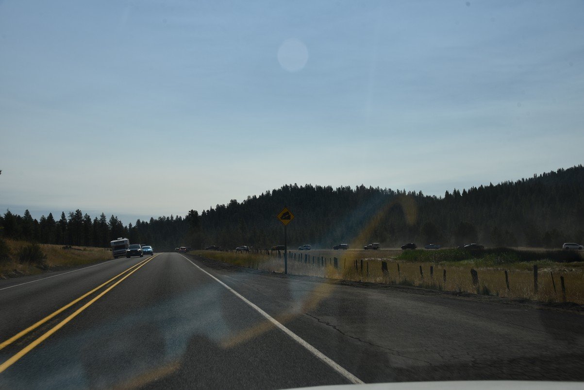 dsc_4395_fs.jpg