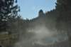 dsc_4400_fs_small.jpg