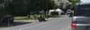 dsc_4446_fs_small.jpg
