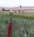 dsc_4474_fs_small.jpg