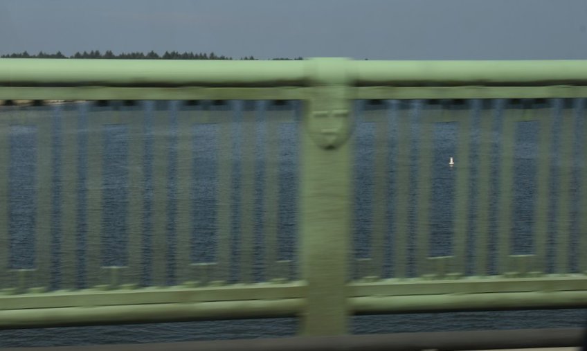 dsc_1780_fs.jpg