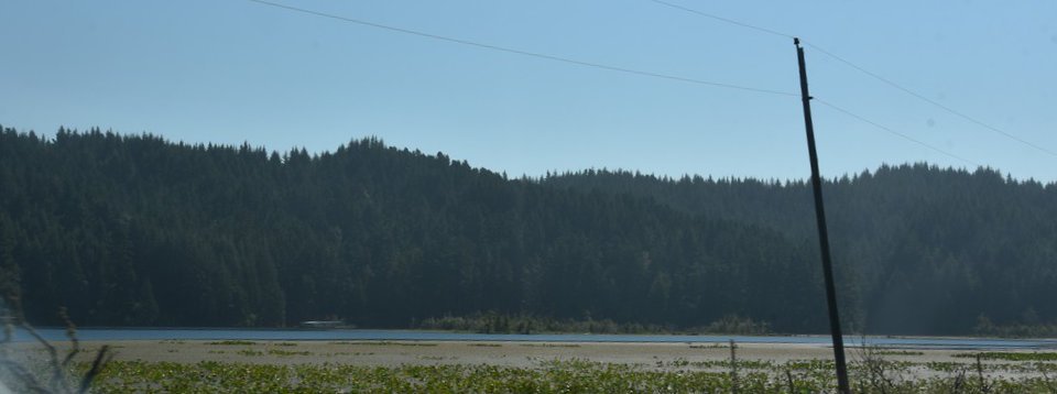 dsc_1789_fs.jpg