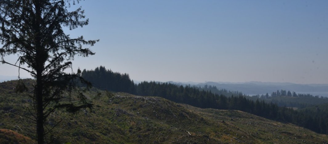 dsc_1793_fs.jpg