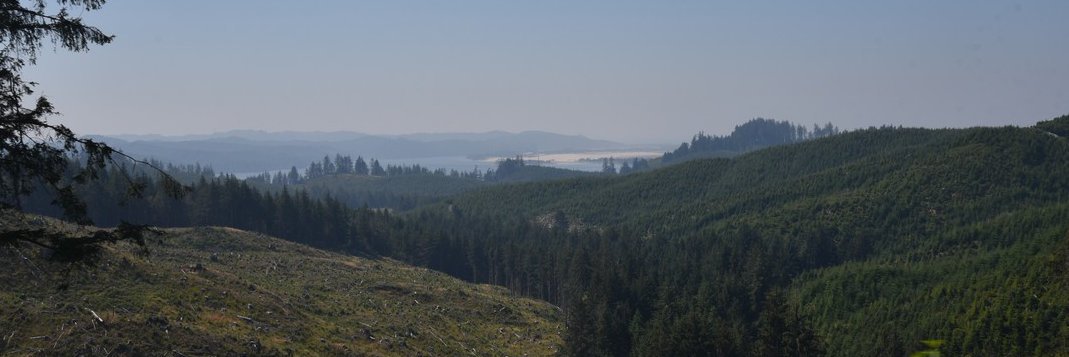 dsc_1794_fs.jpg
