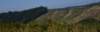 dsc_1797_fs_small.jpg