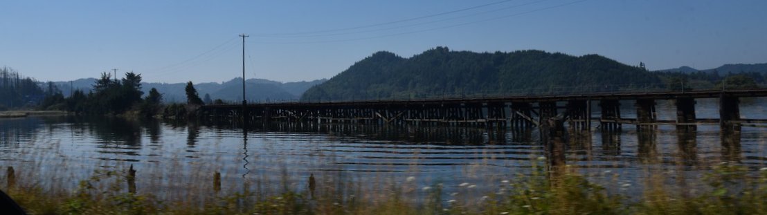 dsc_1808_fs.jpg