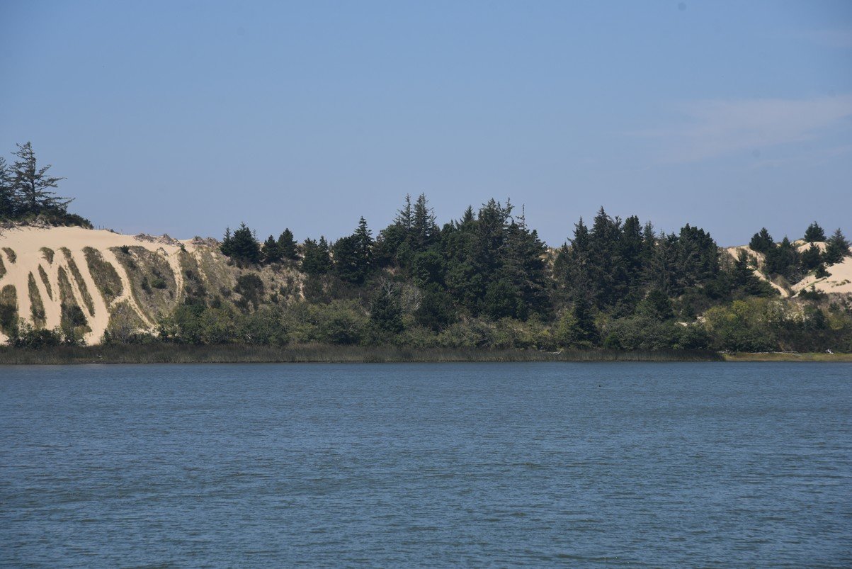dsc_1875_fs.jpg