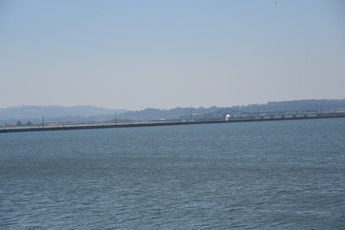 dsc_1879_fs.jpg