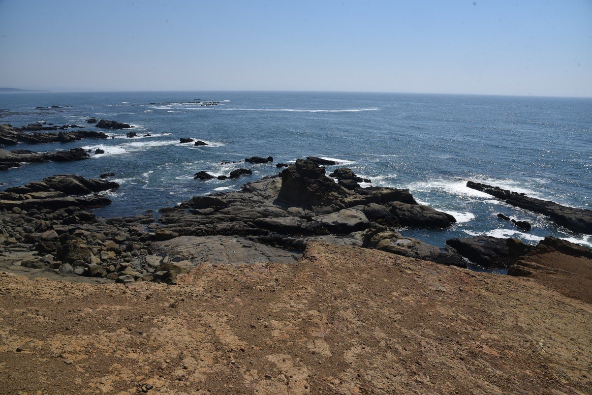 dsc_1938_fs.jpg