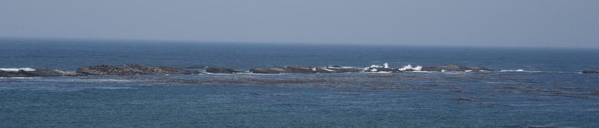 dsc_1951simpsonreef.jpg