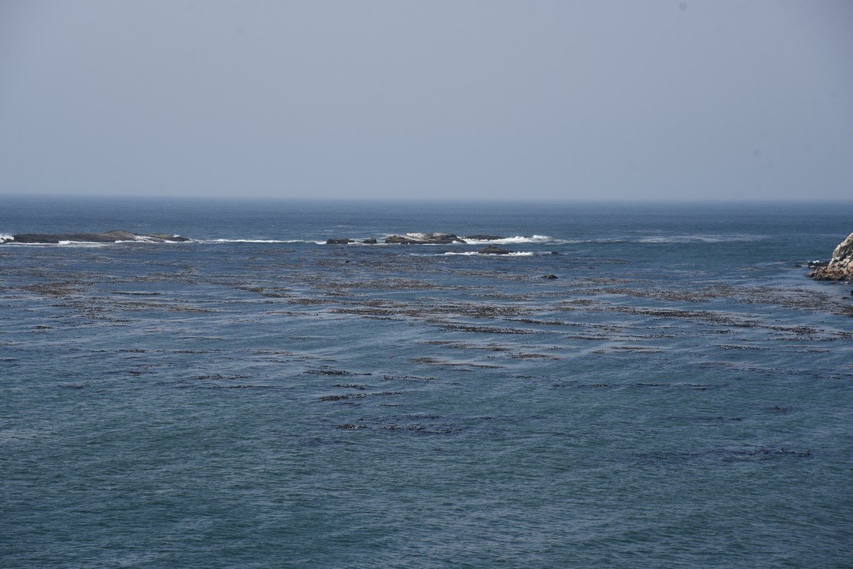 dsc_1963_fs.jpg