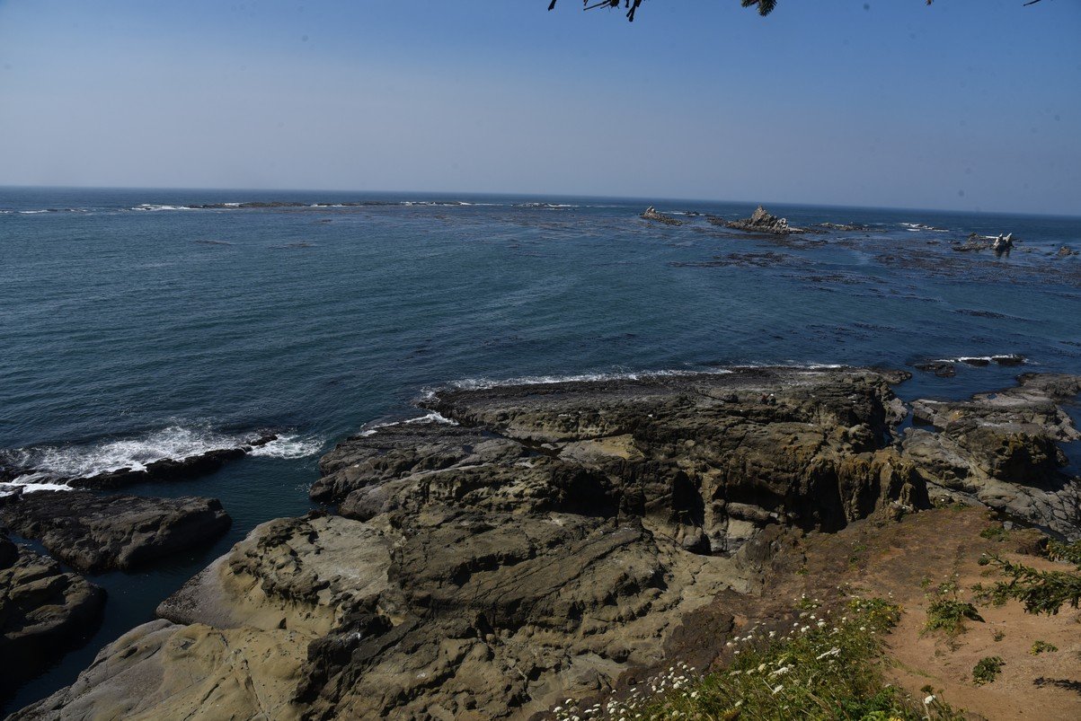 dsc_1968_fs.jpg
