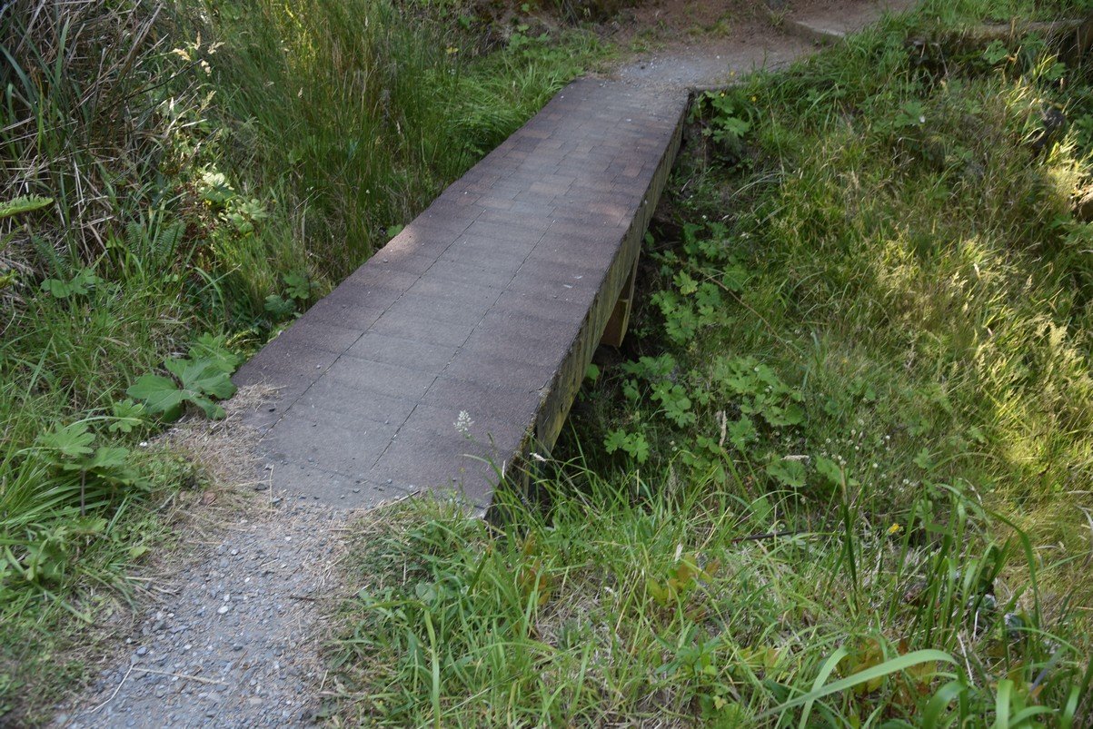 dsc_1990_fs.jpg