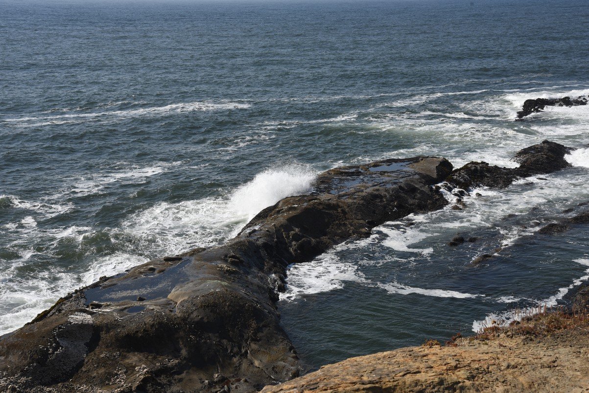 dsc_2000_fs.jpg
