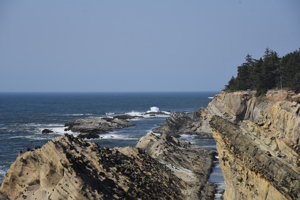 dsc_2008_fs.jpg