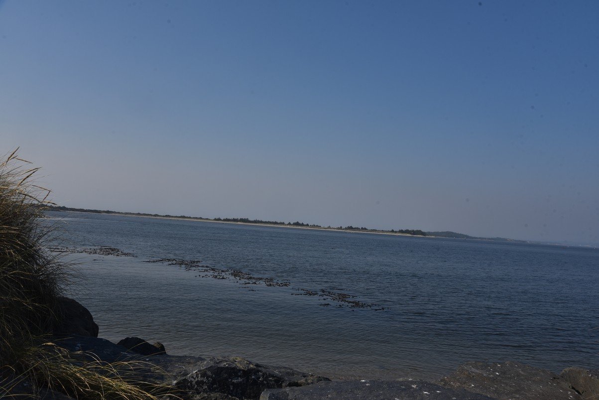 dsc_2022_fs.jpg
