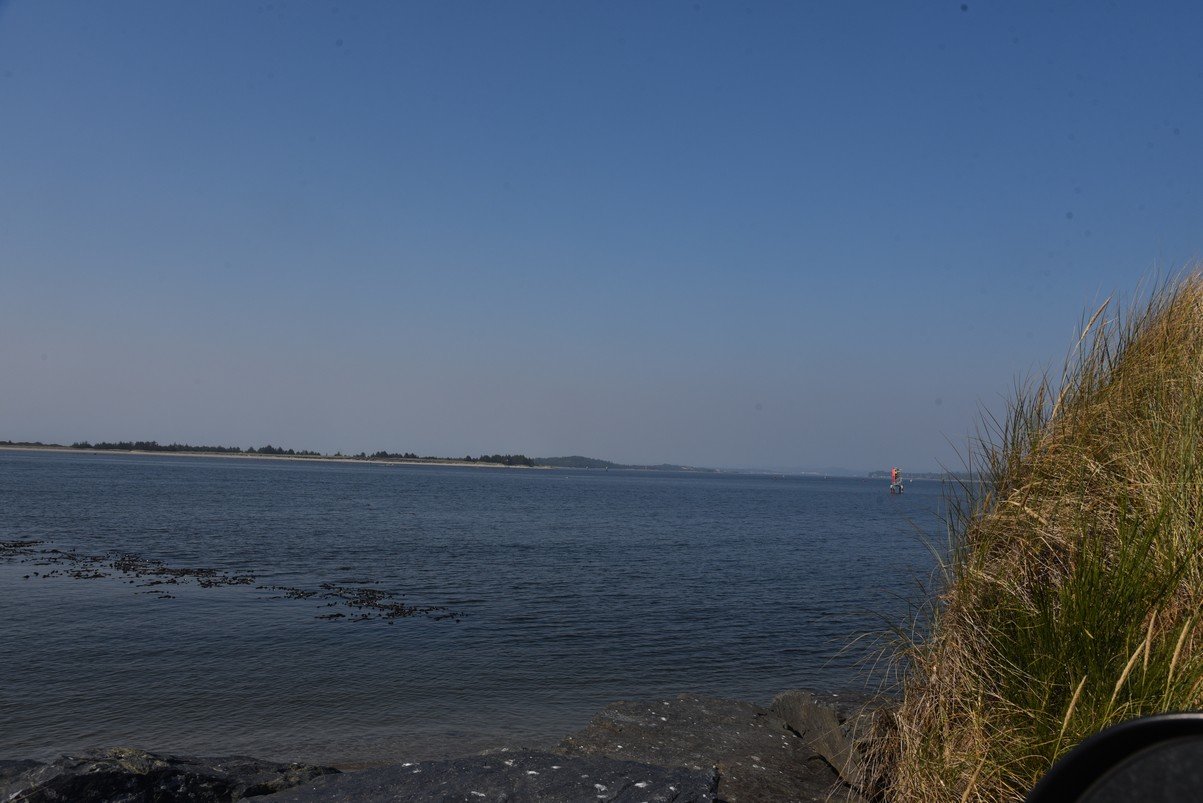 dsc_2023_fs.jpg