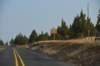 dsc_4485_fs_small.jpg