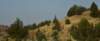 dsc_4504_fs_small.jpg