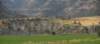 dsc_4534_fs_small.jpg