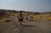 dsc_4694_fs_small.jpg