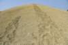 dsc_4793_fs_small.jpg