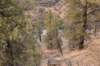 dsc_4885_fs_small.jpg