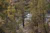 dsc_4886_fs_small.jpg
