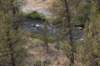 dsc_4887_fs_small.jpg
