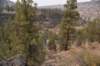 dsc_4888_fs_small.jpg