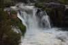 dsc_4904_fs_small.jpg