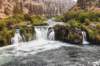 dsc_4932_fsdet_small.jpg