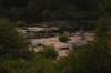 dsc_4938_fs_small.jpg