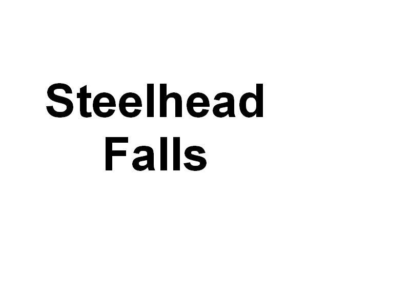 steelheadfallsandthedeschutesriver.jpg