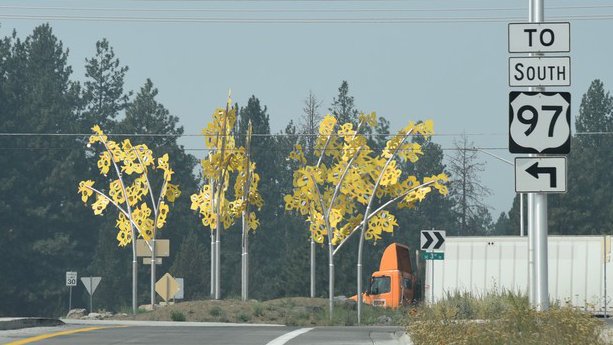 dsc_4957_fs.jpg