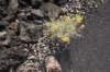 dsc_4989_fs_small.jpg