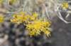 dsc_4990_fs_small.jpg