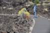 dsc_4991_fs_small.jpg